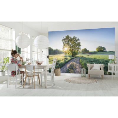 A New Day in Paradise