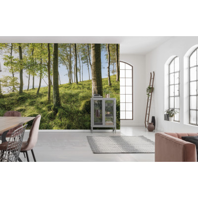 Zauberhaftes Buchenspektakel