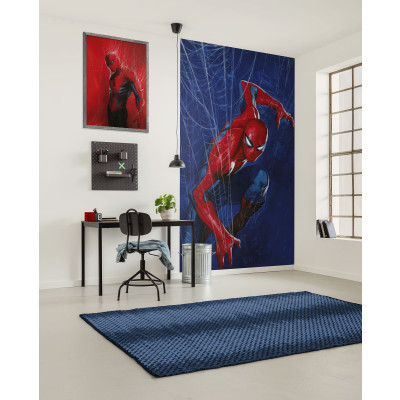 Marvel Spider-Man Spider Web