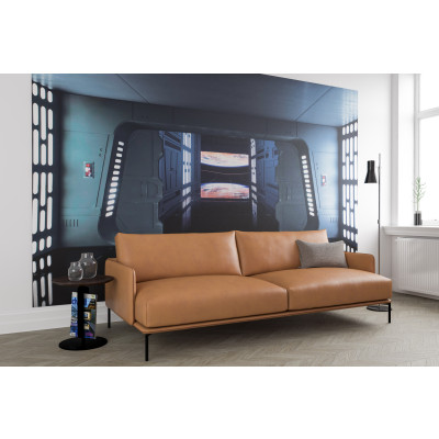 STAR WARS Entrance to the Universe