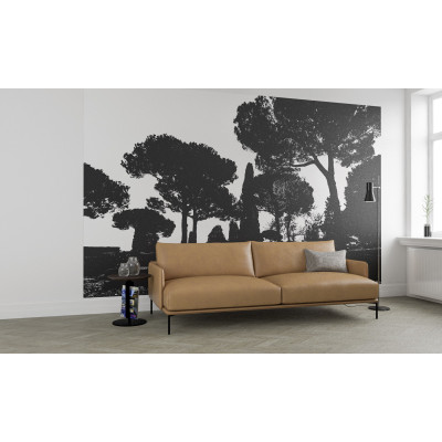 Pine Trees black-white