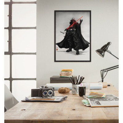 Star Wars Vision Samurai Dark Lord