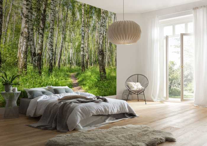 Standard Non-woven Forêt de Bouleaux