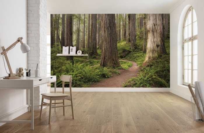 Digital wallpaper Redwood Trail