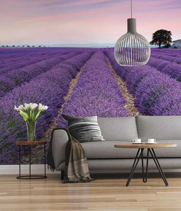 Premium Non-Woven Provence