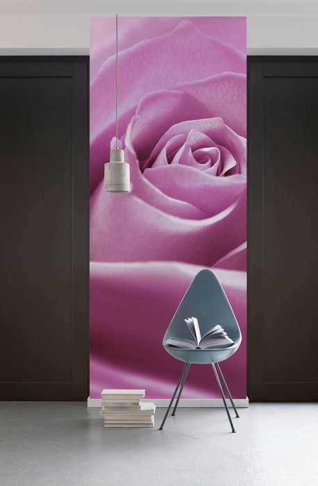 Premium Non-Woven Pink Rose