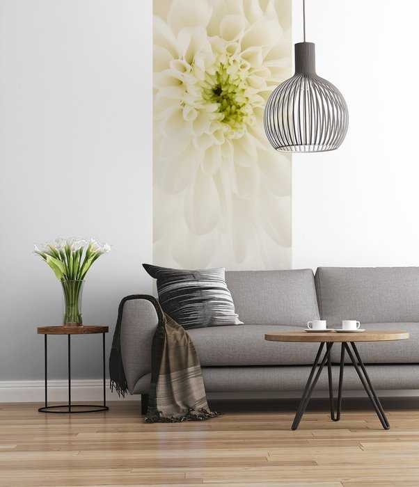Premium Non-Woven Beautiful