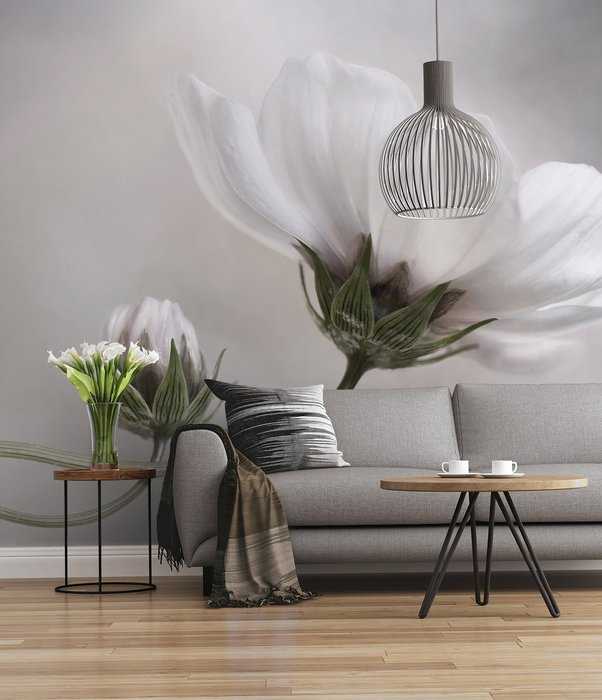 Premium Non-Woven Into the Light