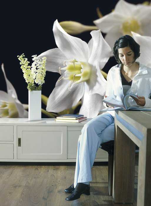Paper Madonna
