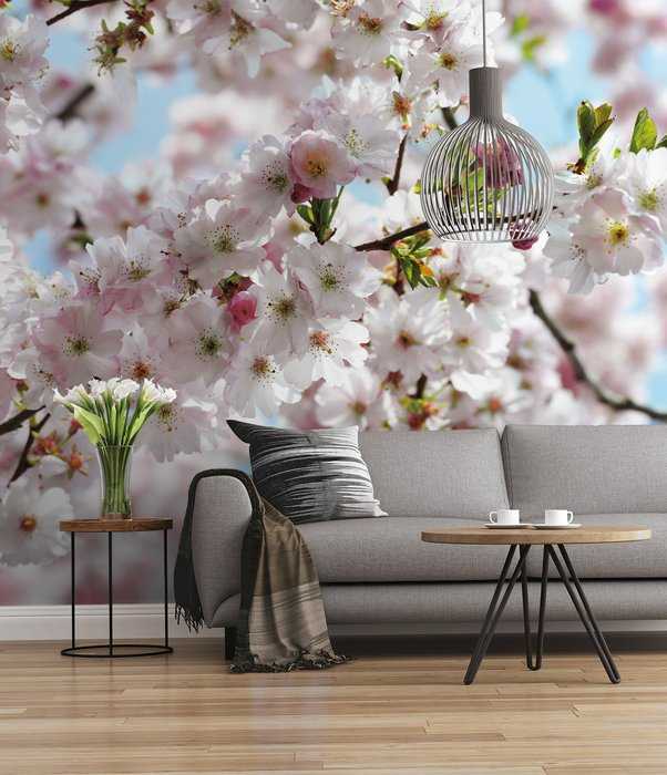 Premium Non-Woven Spring