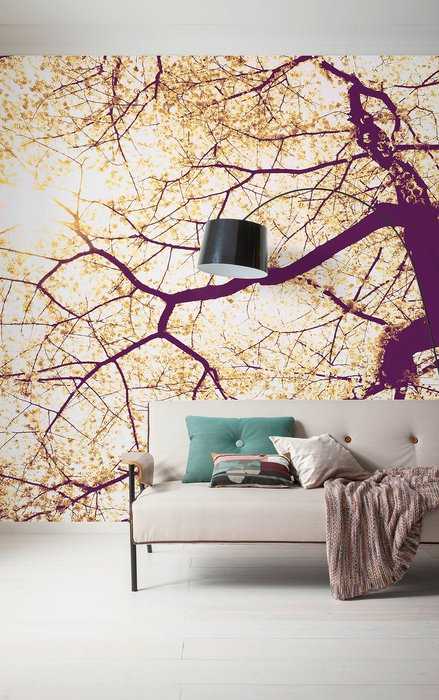 Premium Non-Woven Sunshine