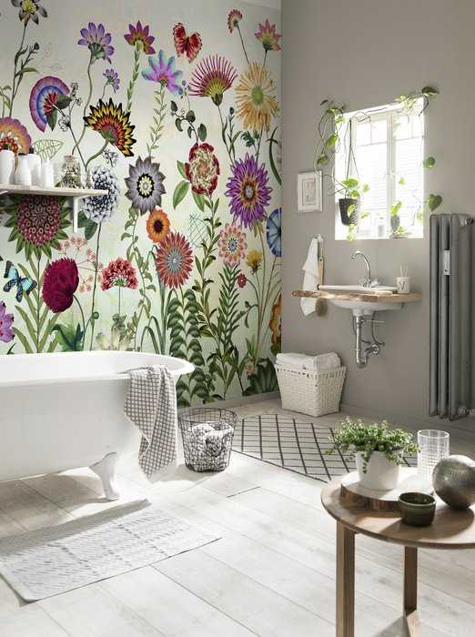 Paper Brazil