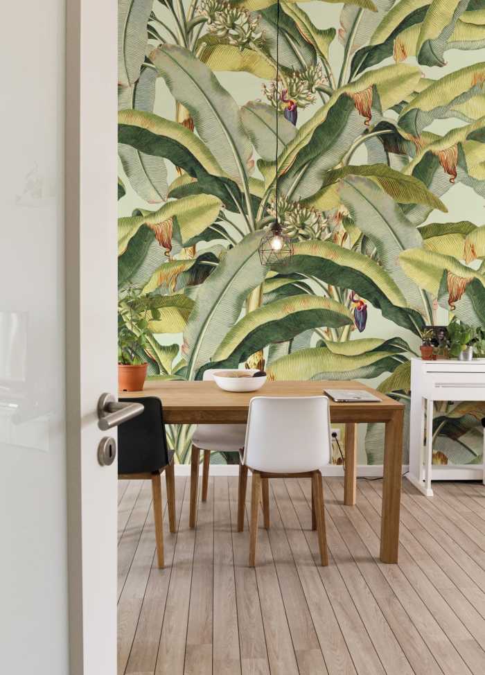 Standard Non-woven Banana Grove