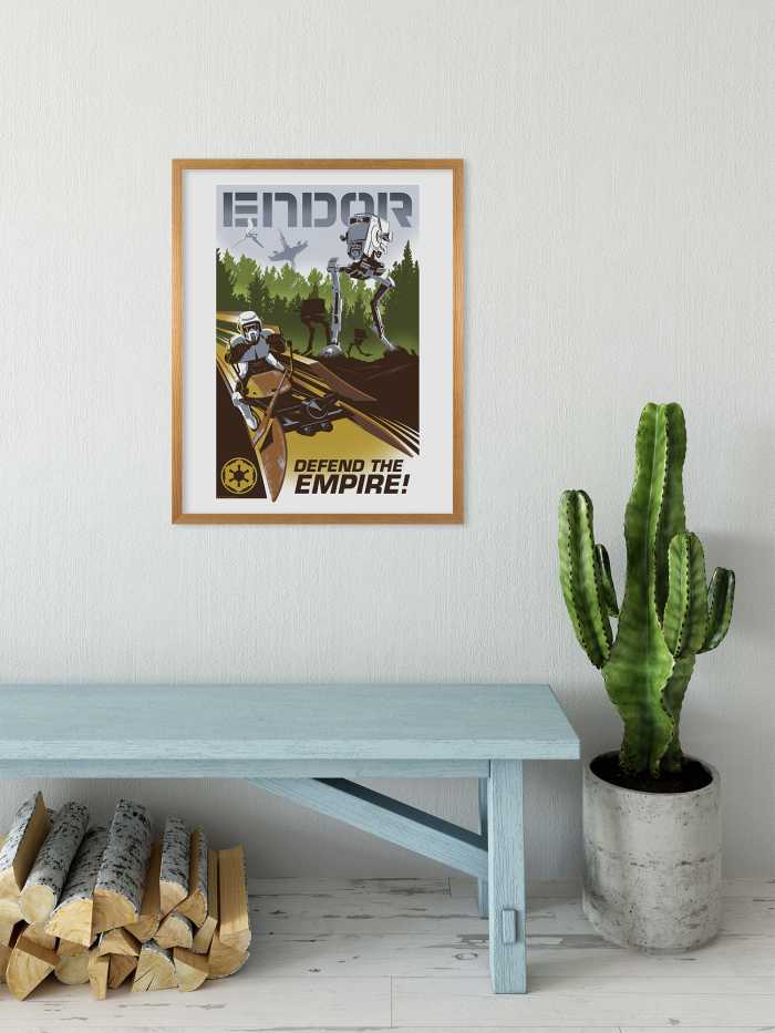 Poster Star Wars - Defend the Empire
