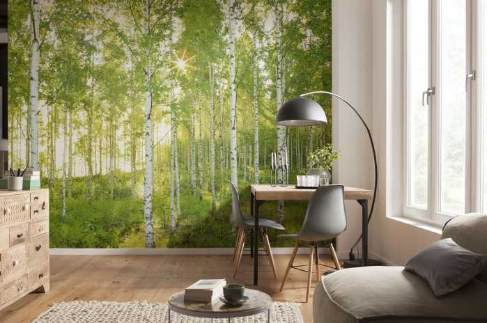 Standard Non-woven Sunday