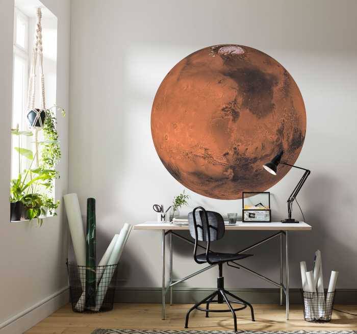 Non-woven adhesive round mural Mars