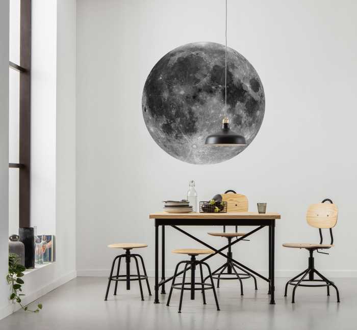 Non-woven adhesive round mural Moon