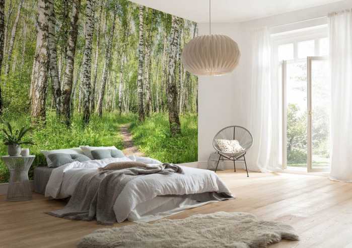 Standard Non-woven Forêt de Bouleaux