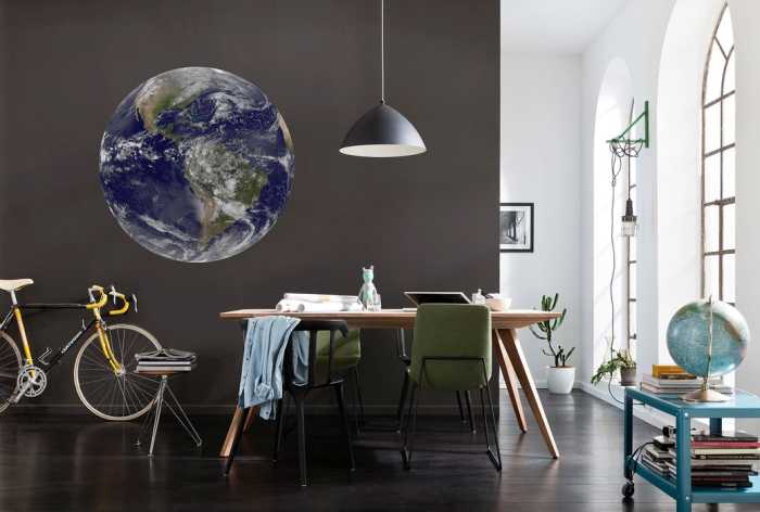 Non-woven adhesive round mural Earth