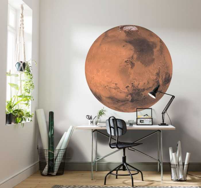 Non-woven adhesive round mural Mars