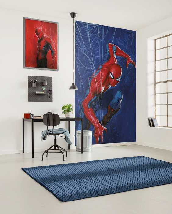 Standard Non-woven Marvel Spider-Man Spider Web