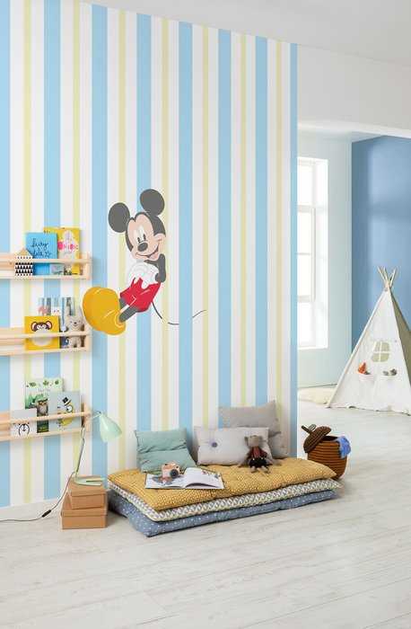 Standard Non-woven Mickey Relax