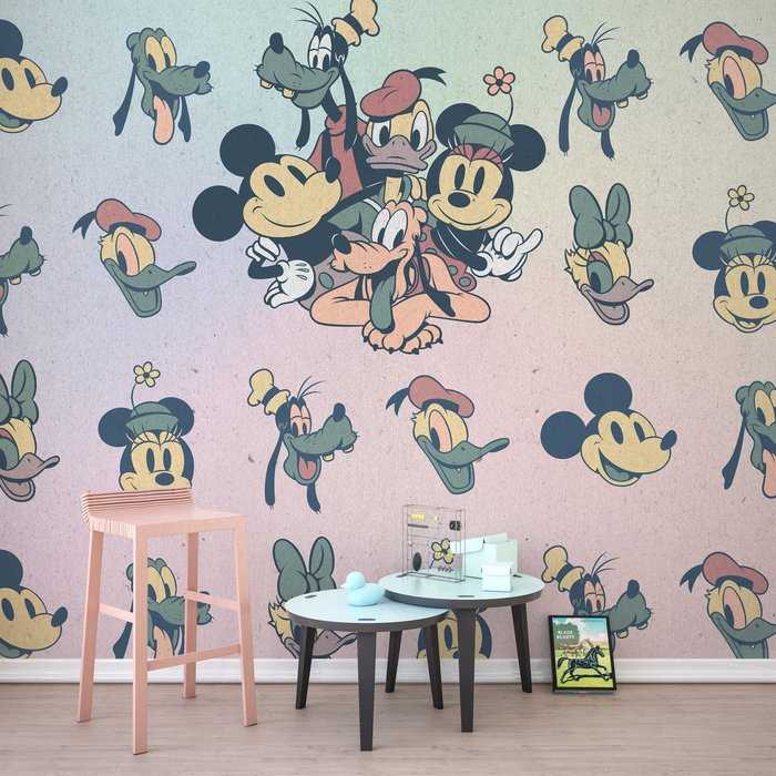 Standard Non-woven Mickey Fab5