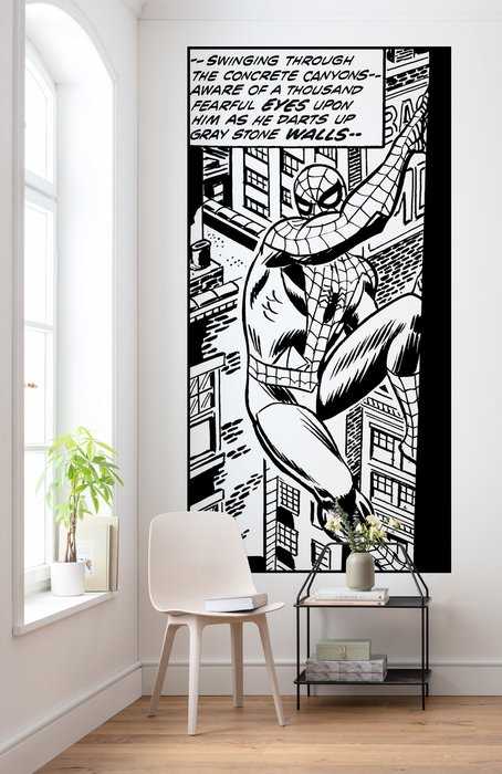 Standard Non-woven Spider-Man Classic Climb