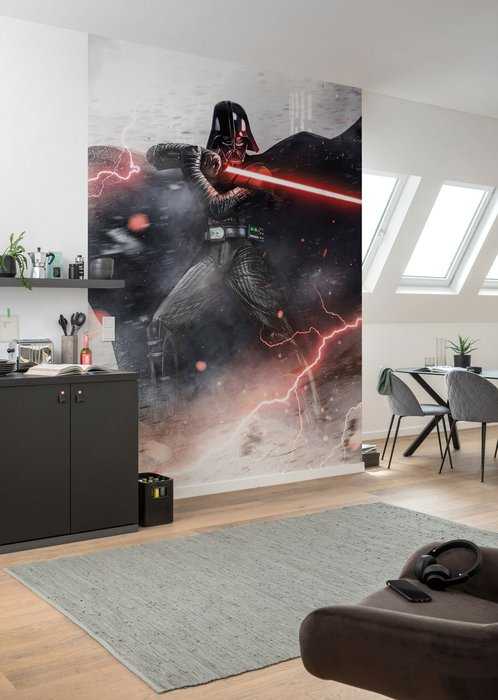 Standard Non-woven Star Wars Vader Dark Forces