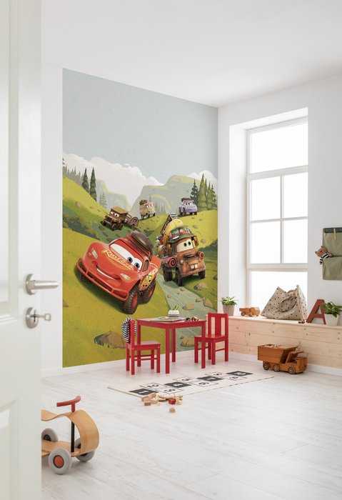 Standard Non-woven Cars Camping