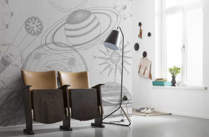 Standard Non-woven Cosmos Sketch
