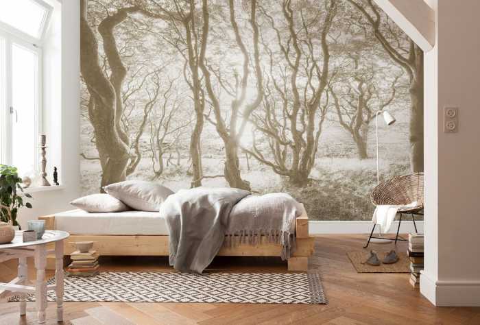 Premium Non-Woven Bleached Birch