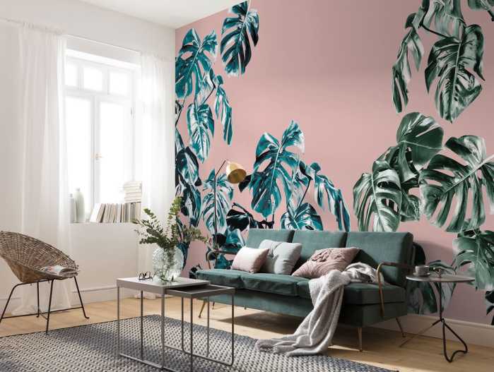 Premium Non-Woven Monstera Rosé