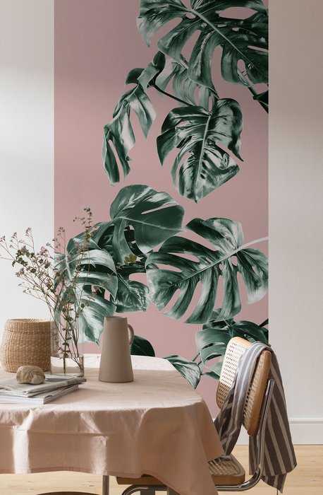 Premium Non-Woven Monstera Rosé