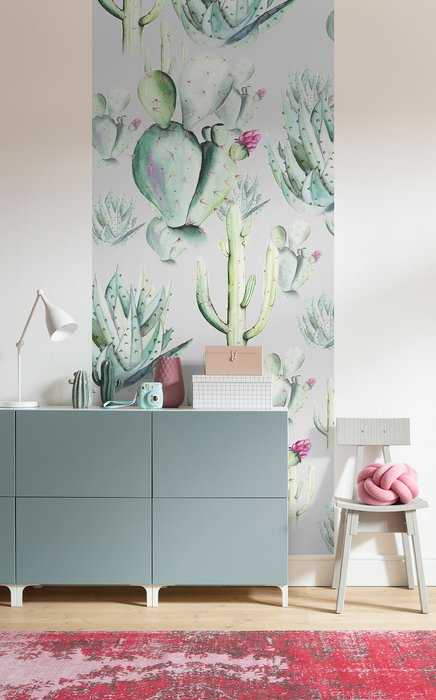 Premium Non-Woven Cactus Grey