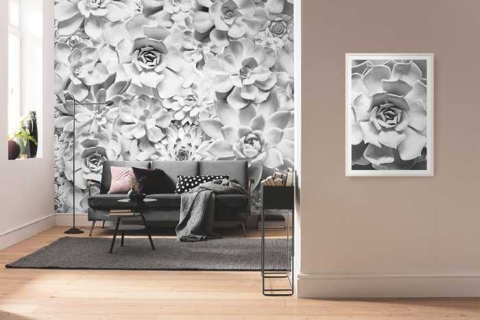 Premium Non-Woven Shades Black and White