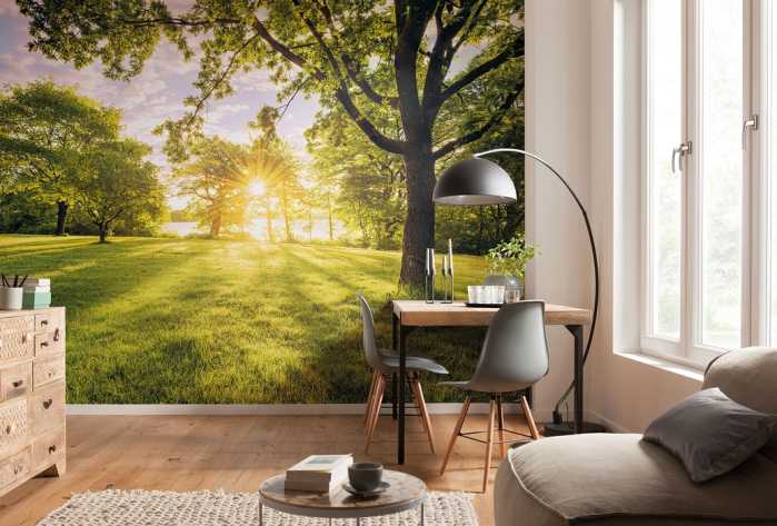 Premium Non-Woven Golden Moment