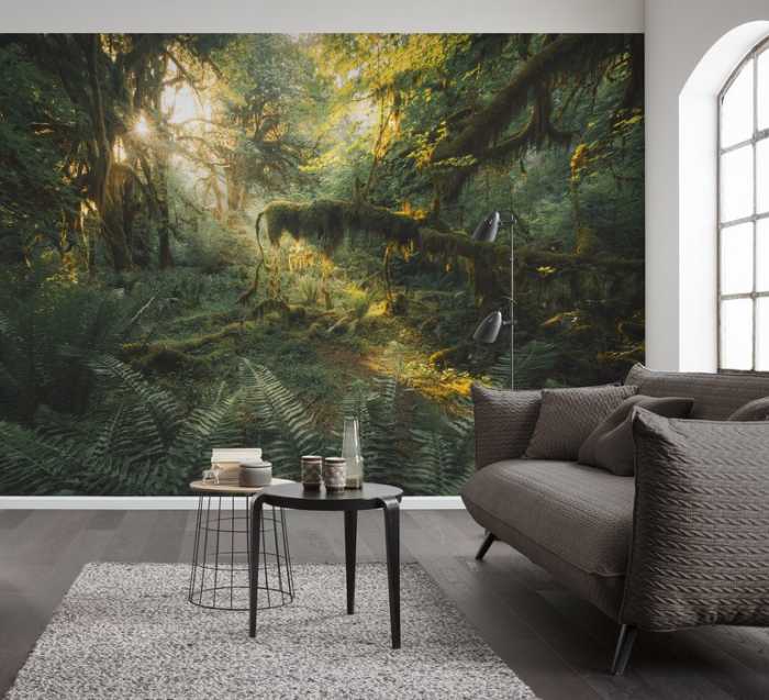 Premium Non-Woven Hall of Mosses