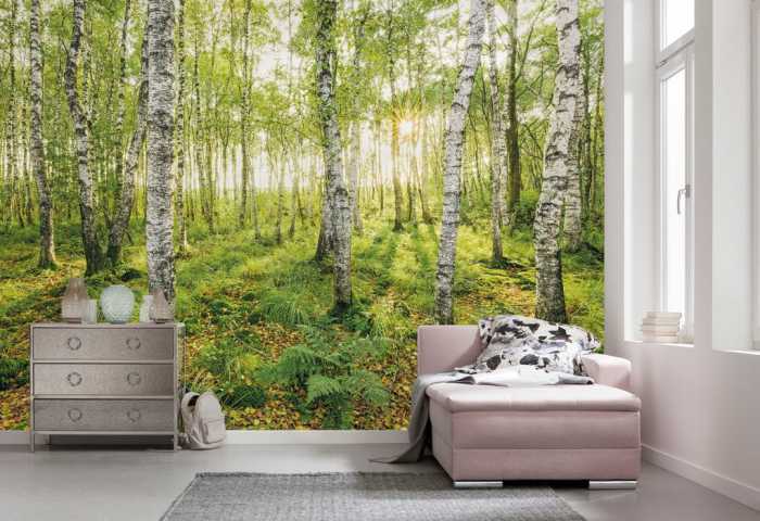 Premium Non-Woven Birch Trees