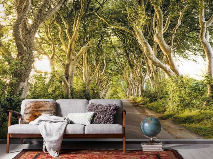 Premium Non-Woven Golden Hedges