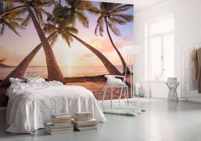 Premium Non-Woven Reaching the Sun