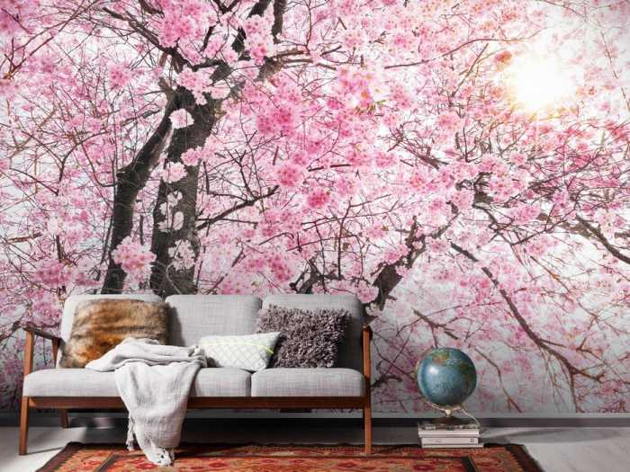 Premium Non-Woven Bloom