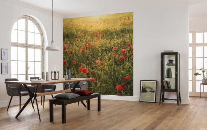 Standard Non-woven Poppy World I