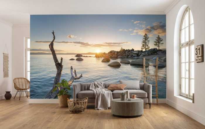 Standard Non-woven Final Light