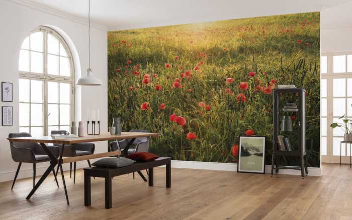 Standard Non-woven Poppy World I