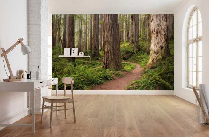 Standard Non-woven Redwood Trail