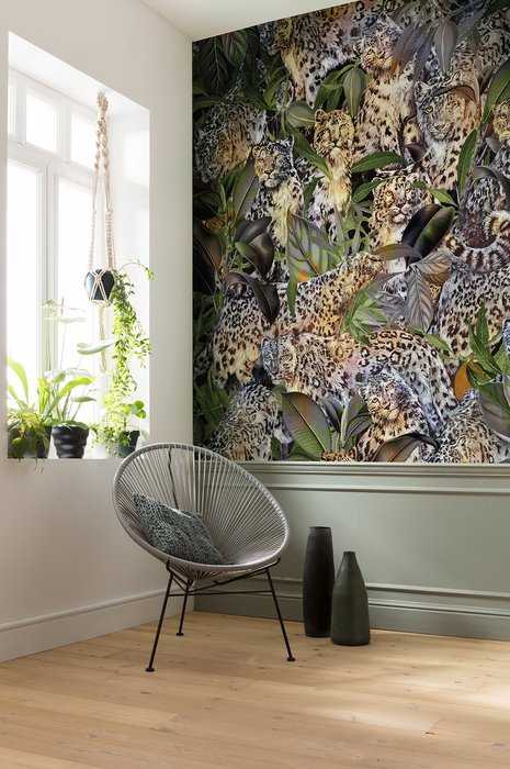 Standard Non-woven Wild Cats