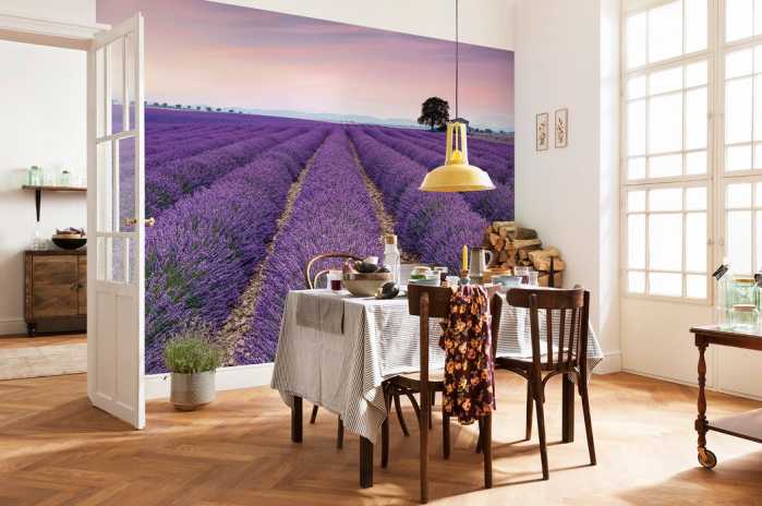 Standard Non-woven Provence