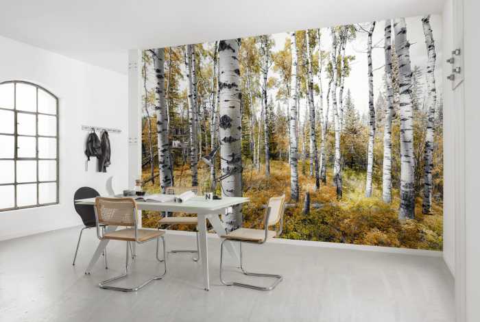 Digital wallpaper Colorful Aspenwoods