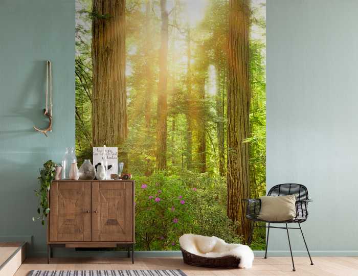 Digital wallpaper Redwood
